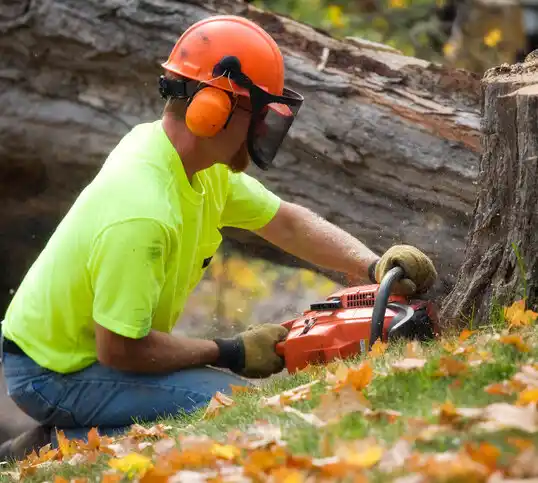 tree services Fearrington Village